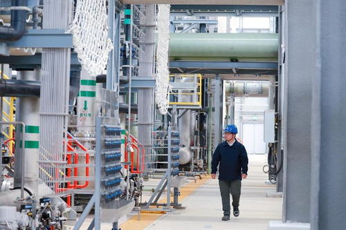 海上新山东丨科技兴海，做好蔚蓝新文章——钻采工程技术服务篇